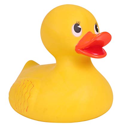 rubber duck